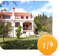Special Offer - Ferienwohnung Tim in Premantura