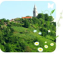 Tipp Spargeltage im April